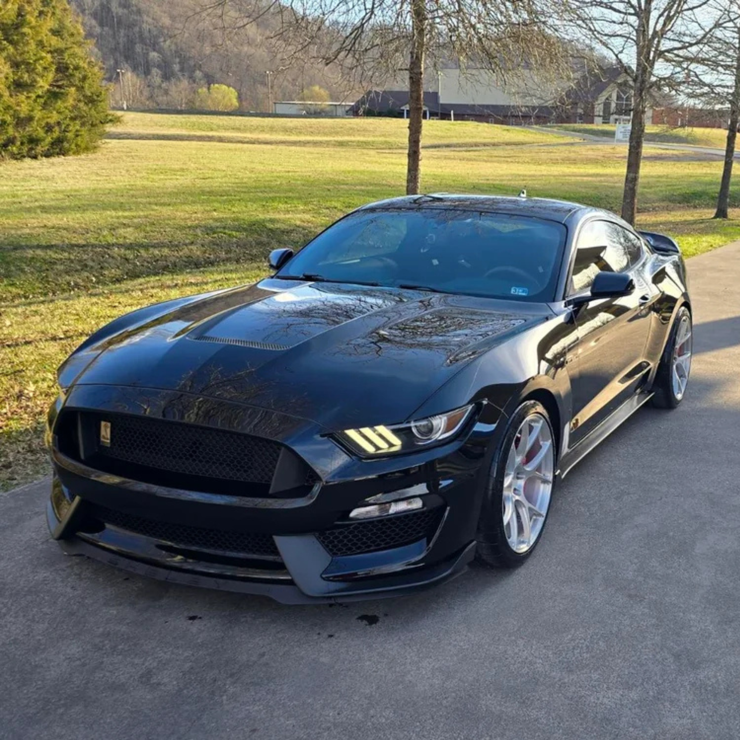 [FORGED] Ford Mustang Shelby GT350 Signature Edition 19 inch Brushed REPLICA Wheel (Copy)