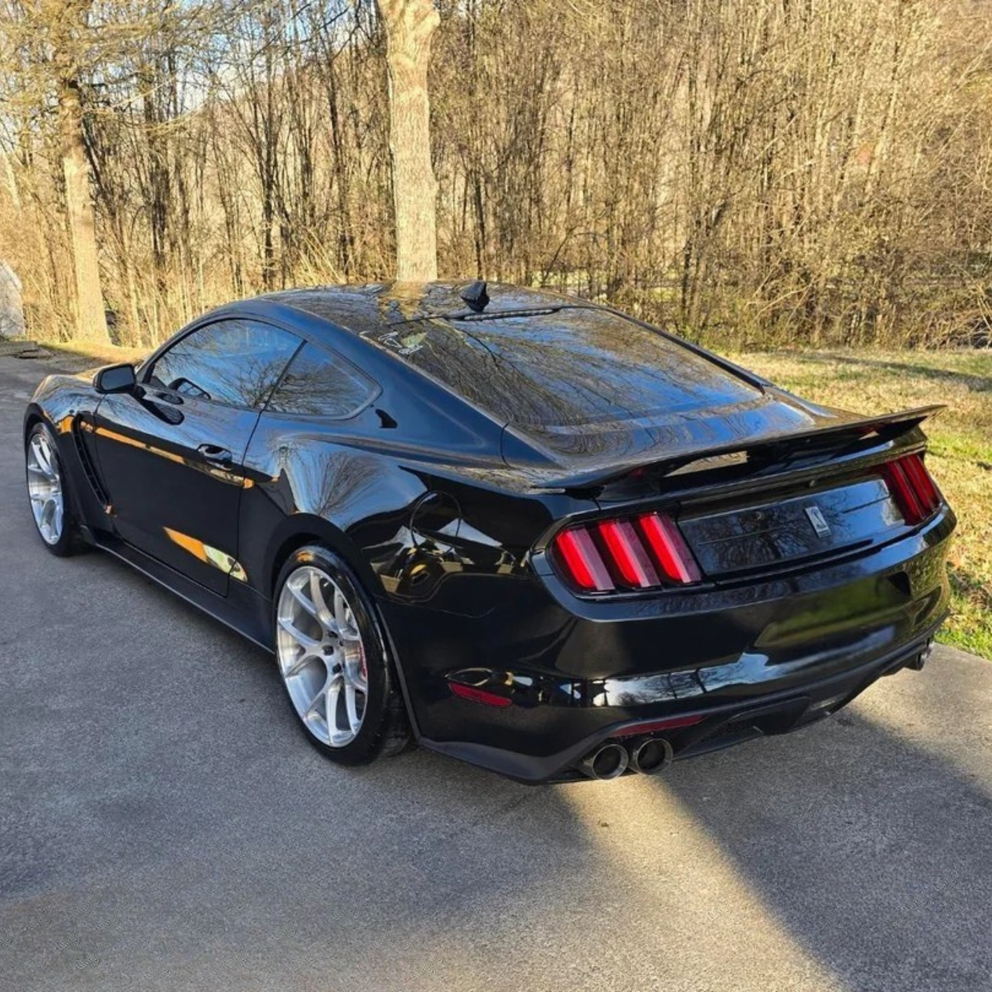 [FORGED] Ford Mustang Shelby GT350 Signature Edition 19 inch Brushed REPLICA Wheel (Copy)