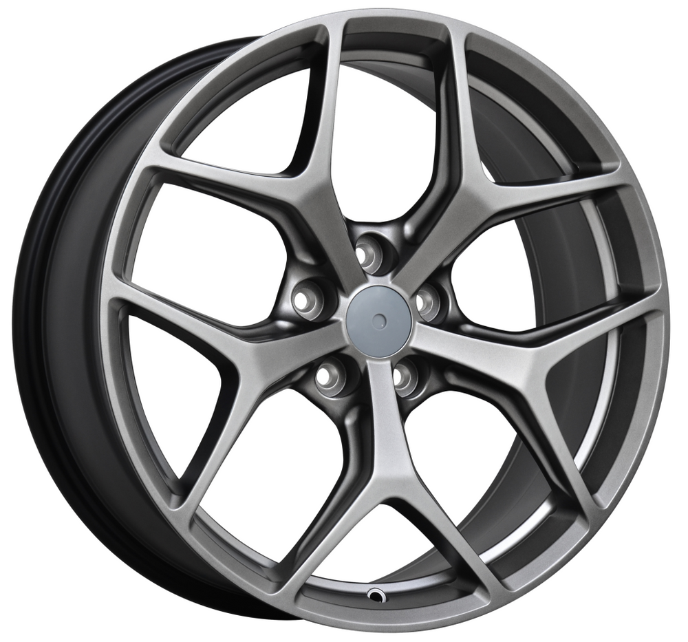 GEN-F2 GTSR SV Panorama 20 inch Dark Stainless REPLICA